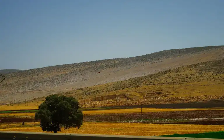 Power lines crossing a dry, open landscape.