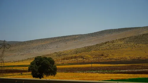 Power lines crossing a dry, open landscape.