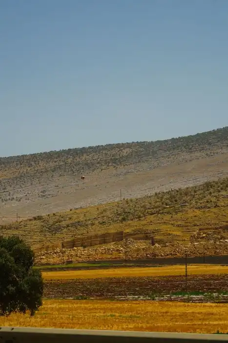 Power lines crossing a dry, open landscape.