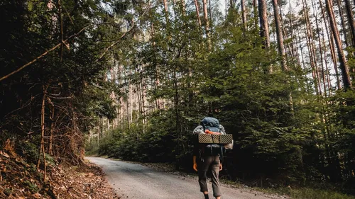 A person carrying a backpack along a wooded trail.