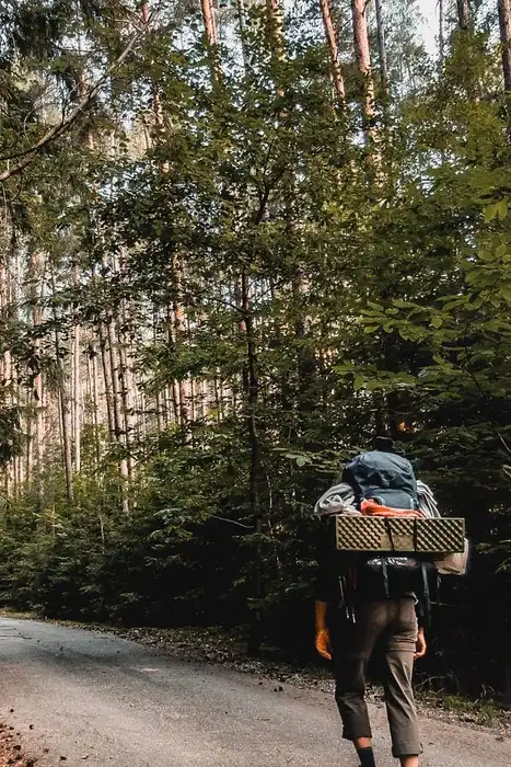 A person carrying a backpack along a wooded trail.