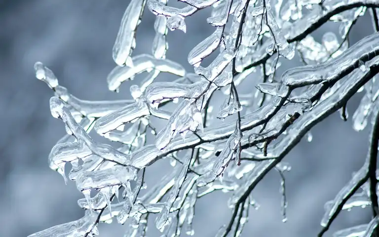 Bare twigs encased in clear ice against a blurred blue-gray background.