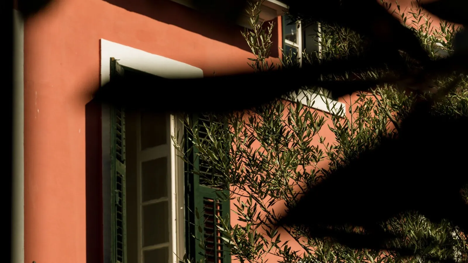 Bright sunlight and sharply defined tree shadows fall across a house facade and shuttered windows.