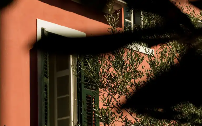 Bright sunlight and sharply defined tree shadows fall across a house facade and shuttered windows.