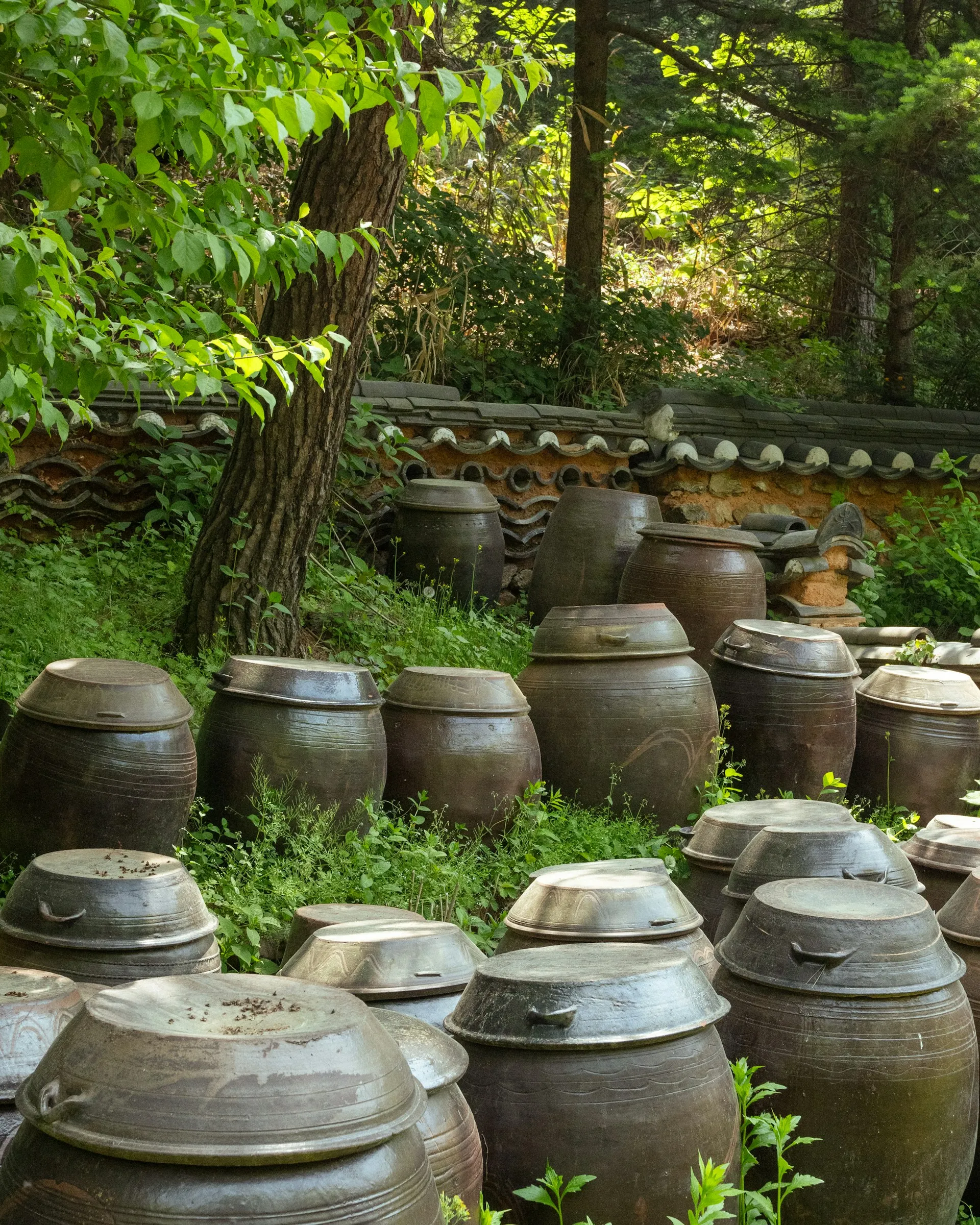 Large water storage containers and barrels in outdoor setting