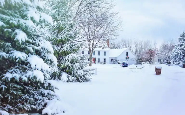 A snow-covered house among frosted trees in a residential neighborhood.